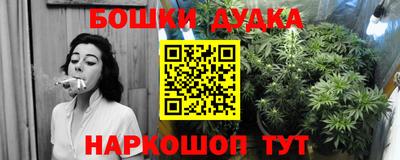 бошки Тверь